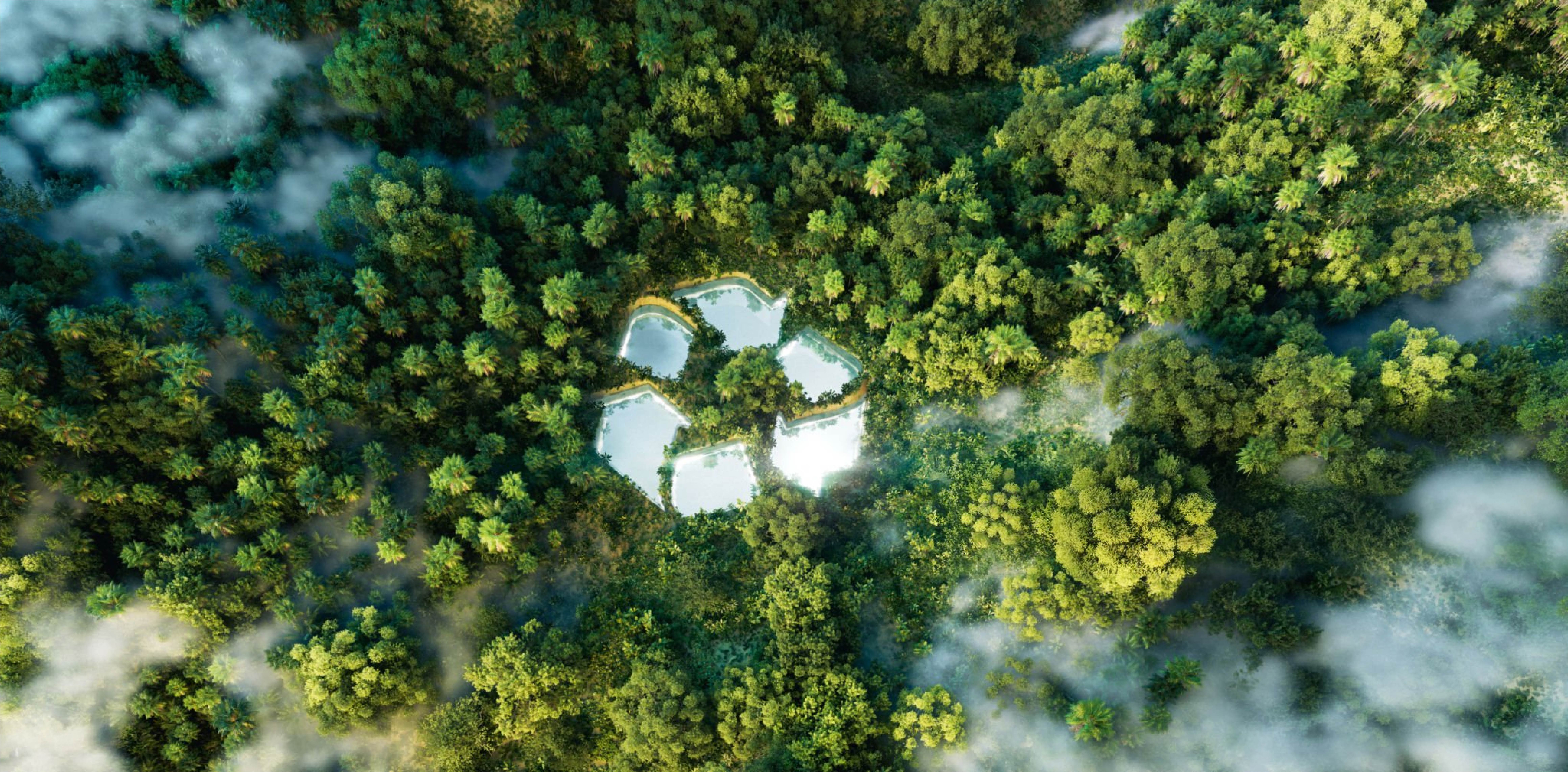 Flooring Industry Trends 2026: Innovation Meets Sustainability